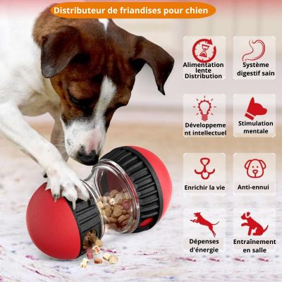 Distributeur de friandises pour chien | Dogy Eat™