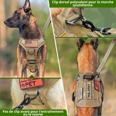  Analyzing image     Harnais-chien-tactique-K9-Liberty-resistant