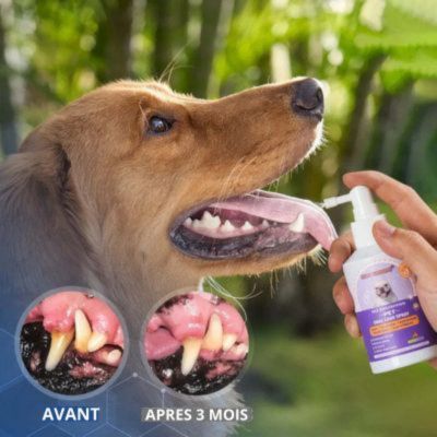 Spray-Dentaire-Animaux-chien-inflamation-dents-odeur