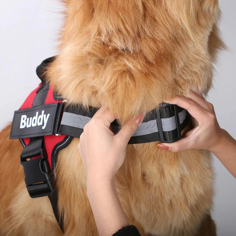 harnais chien personnalisé | MyHarness