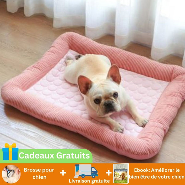 Tapis rafraichissant chien-FreshPaw-cadeau pour chien