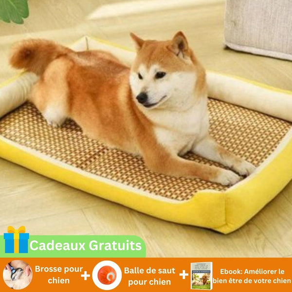 Tapis rafraichissant chien-Dogy fresh-cadeau pour chien