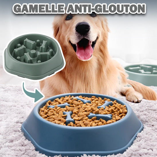 gamelle anti glouton-Bowldog-cadeau pour chien