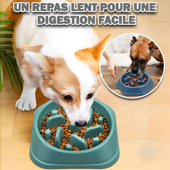 gamelle anti glouton-Bowldog-cadeau pour chien