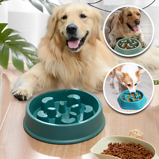 gamelle anti glouton-Bowldog-cadeau pour chien