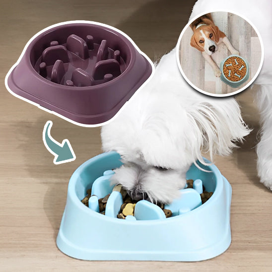 gamelle anti glouton-Bowldog-cadeau pour chien