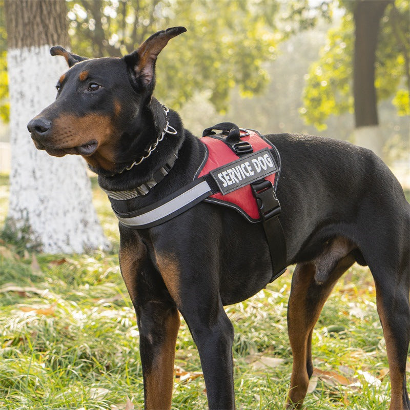 harnais chien personnalisé | MyHarness