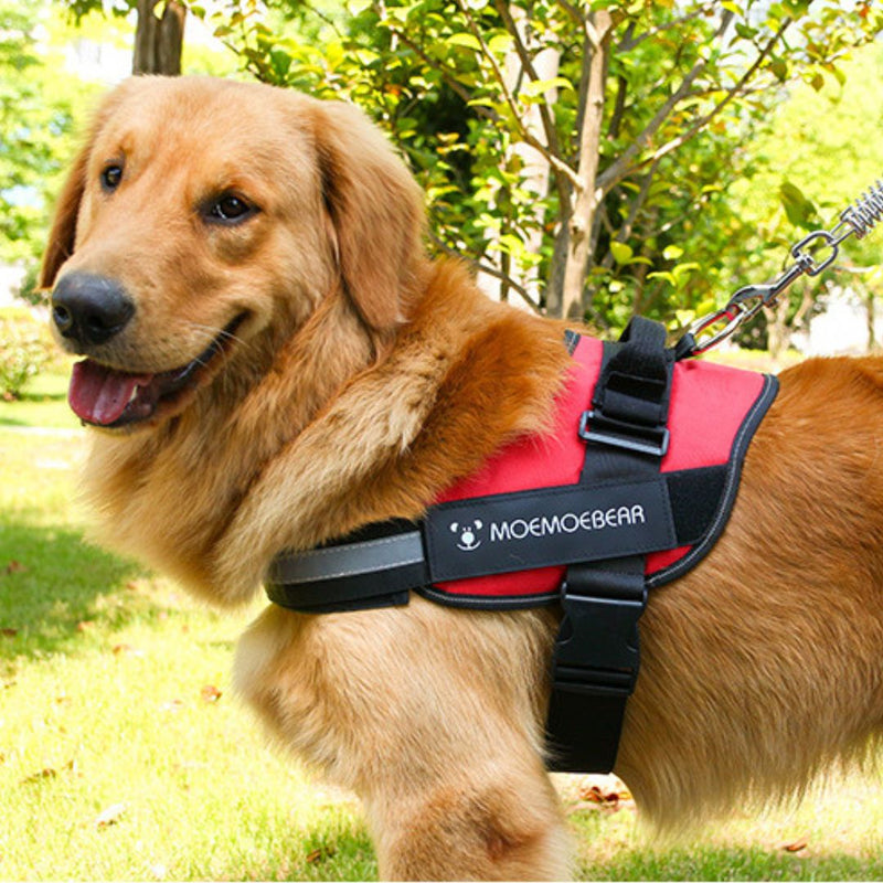 harnais chien personnalisé | MyHarness