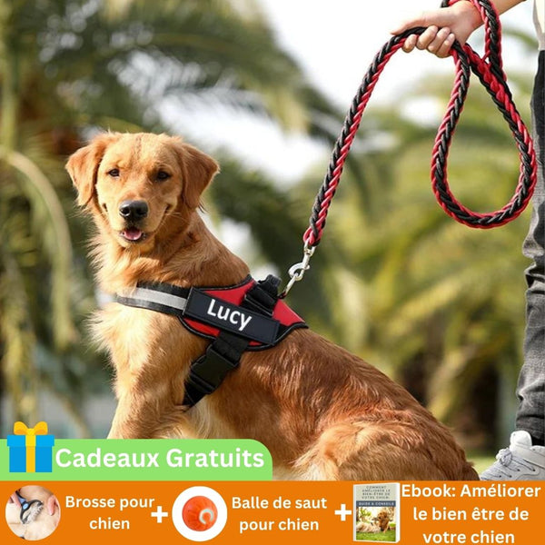 harnais chien personnalisé-MyHarness-cadeau pour chien