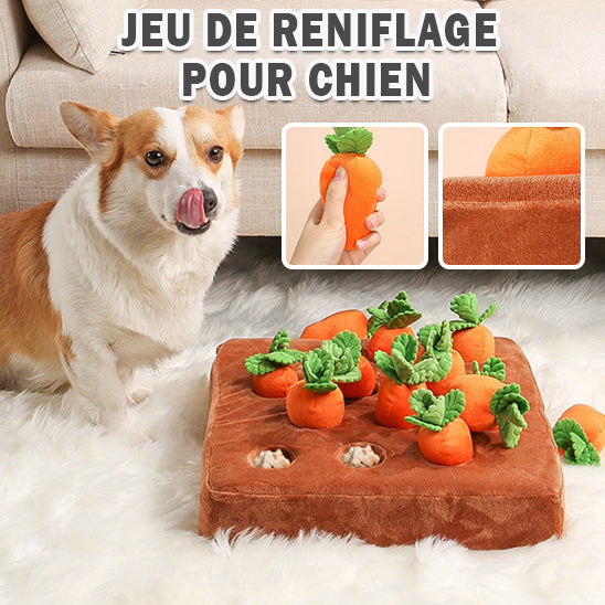 Jeux d'alimentation lente | Magic Carrot