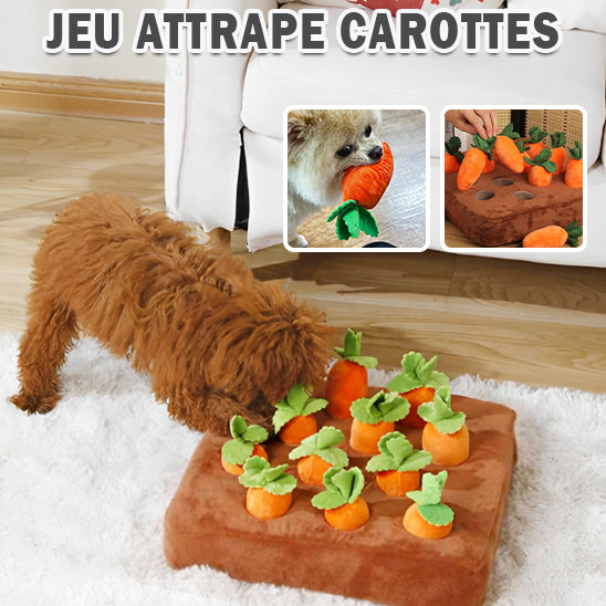 Jeux d'alimentation lente | Magic Carrot