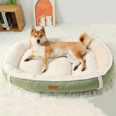 lit-pour-chien-anti-confortable