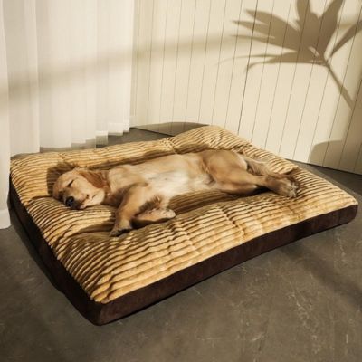 lit-pour-chien-confortable