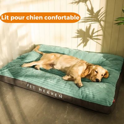 Lit pour chien | Comfy Burrow