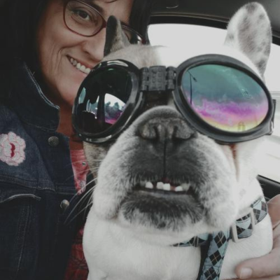 lunette de soleil pour chien | Raydog™