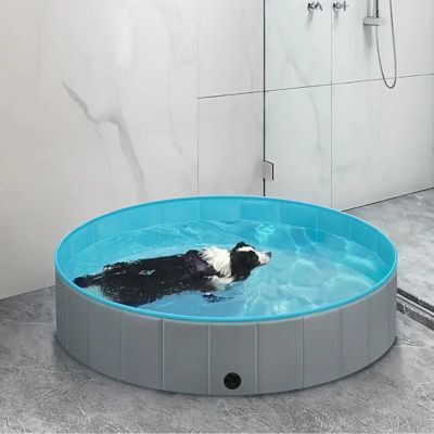 piscine-pour-chien-Baignade