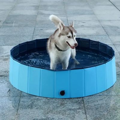 piscine-pour-chien-Etanche