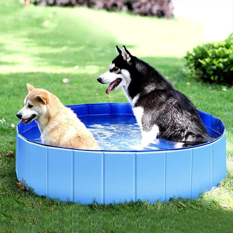 piscine-pour-chien-animaux-de-compagnie