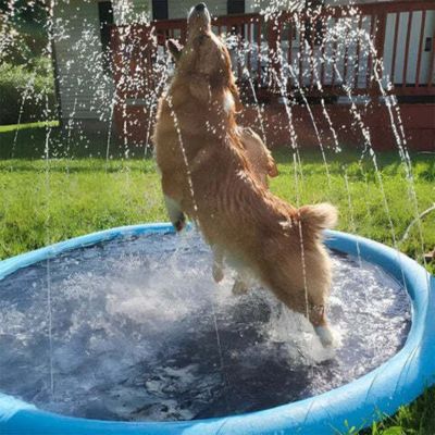 piscine-pour-chien-de-pulvèrisation-d_eau