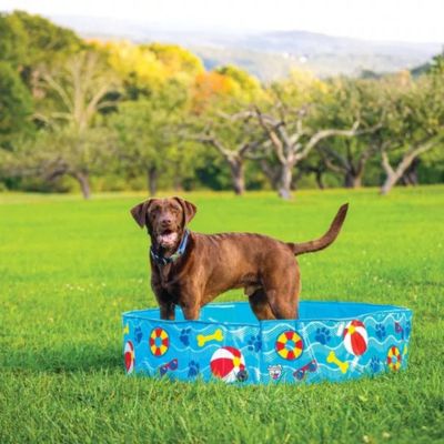 piscine-pour-chien-en-PVC