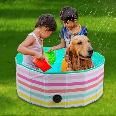 piscine-pour-chien-en-pvc