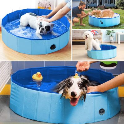 piscine-pour-chien-lavage