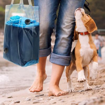 piscine-pour-chien-portable